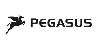 Pegasus